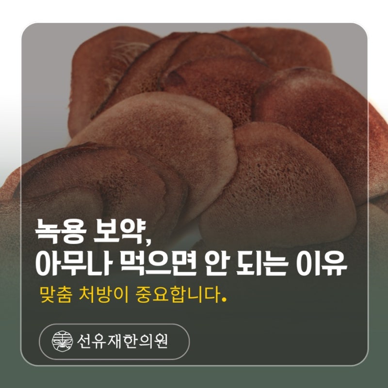 수지구 동천동 선유재한의원 - 녹용 보약, 아무나 먹으면 안 되는 이유[맞춤 처방이 중요합니다]