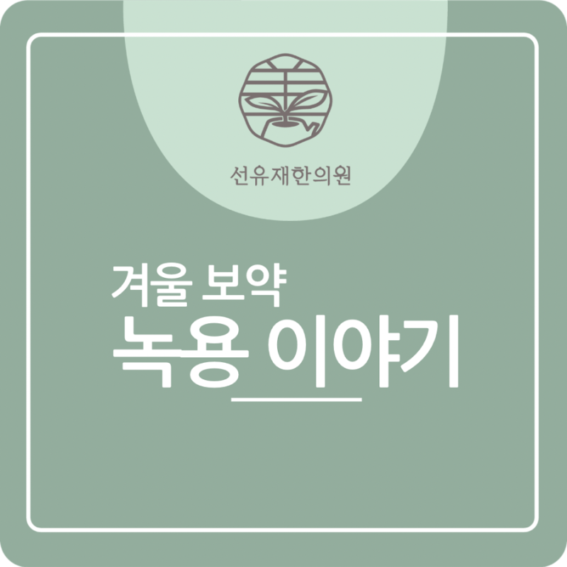 녹용 관련 이미지 2