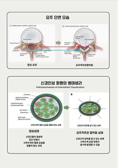 2026년을 1월 이야기 관련 이미지 7