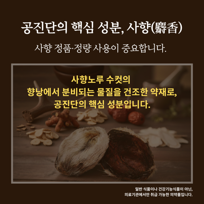 공진단 관련 이미지 3