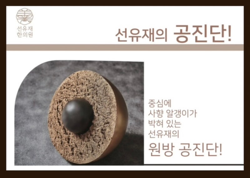 공진단 관련 이미지 4