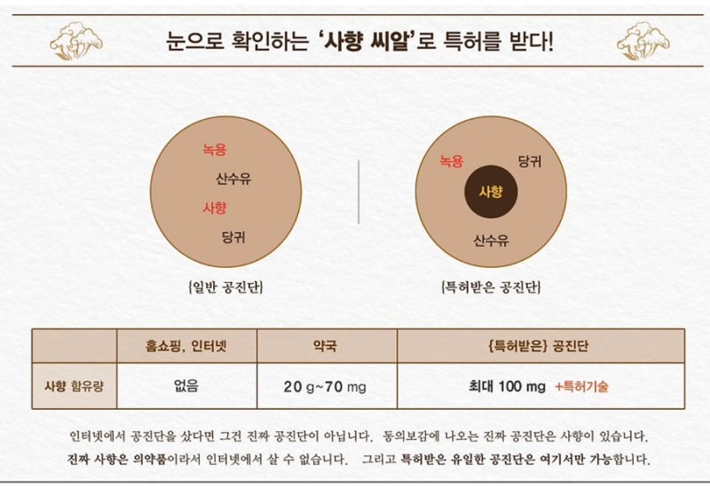공진단 관련 이미지 5