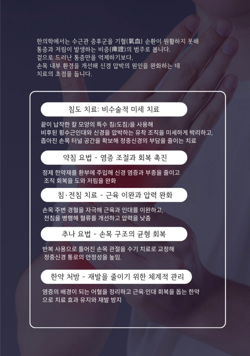 수근관 관련 이미지 10