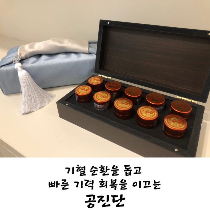 공진단 관련 이미지 3