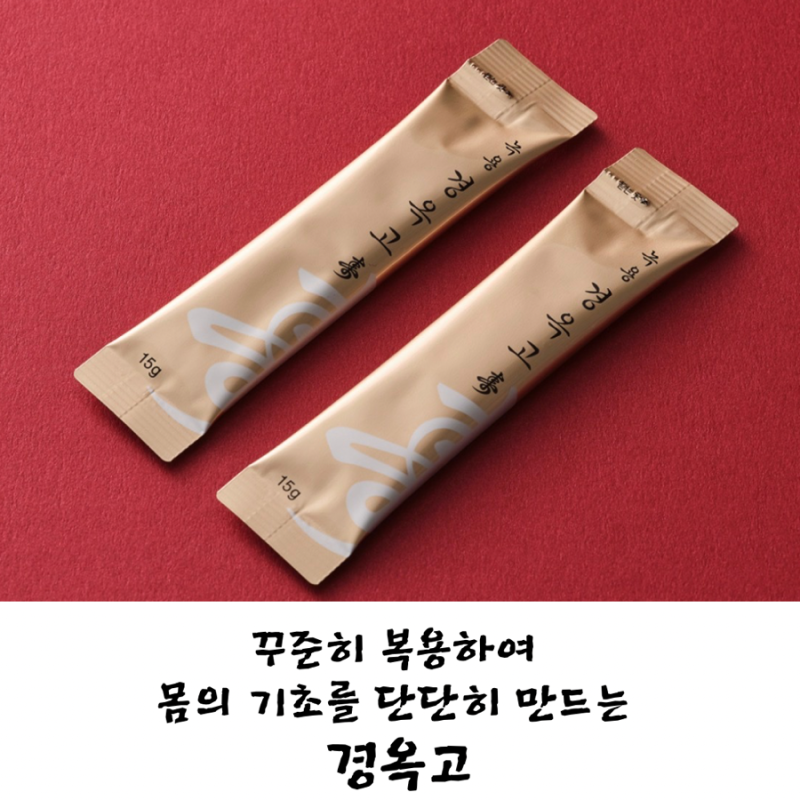 공진단 관련 이미지 5
