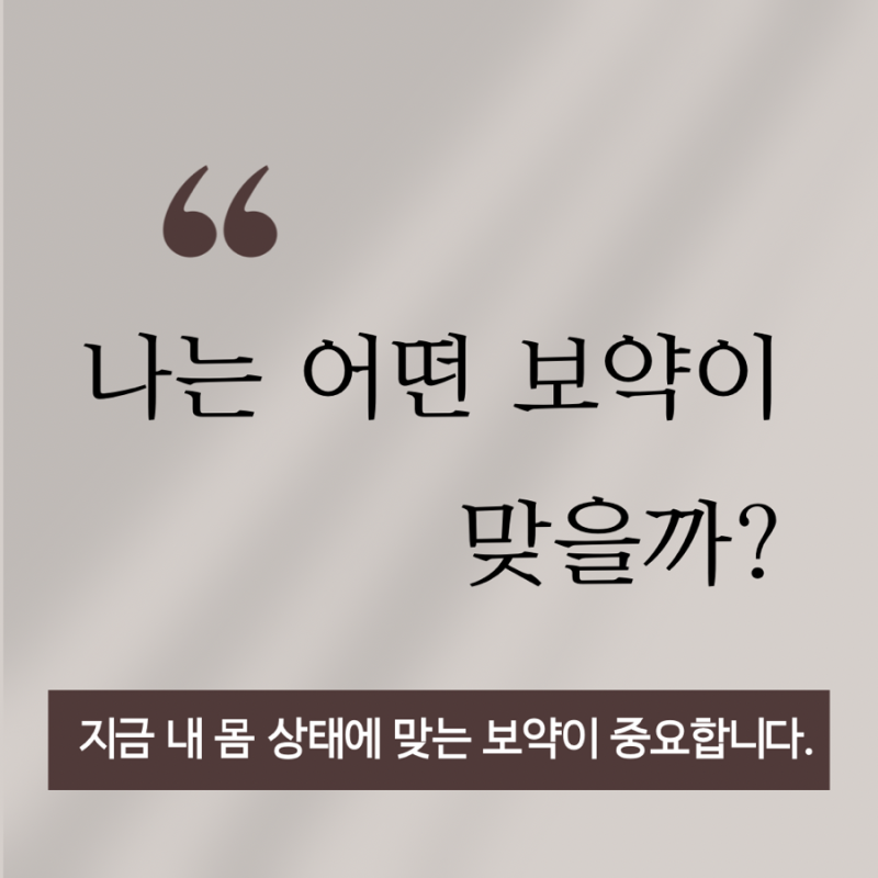 공진단 관련 이미지 7