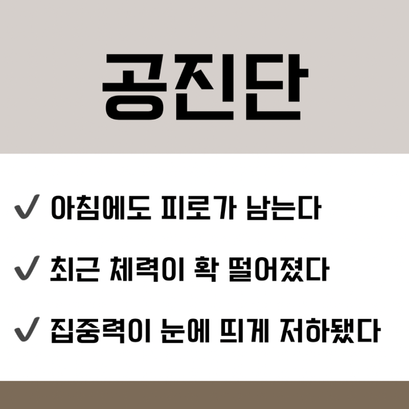 공진단 관련 이미지 8