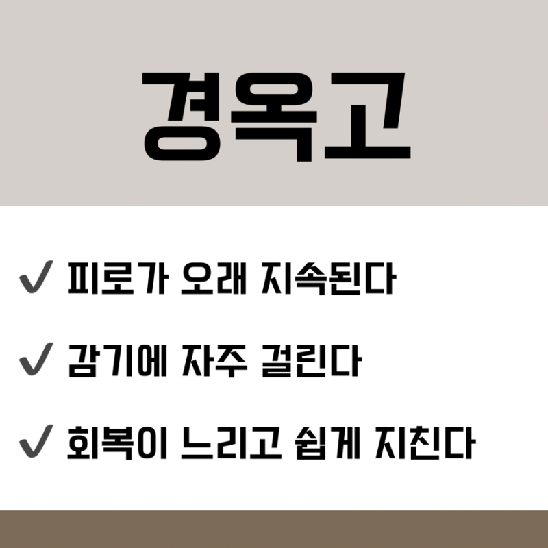공진단 관련 이미지 9