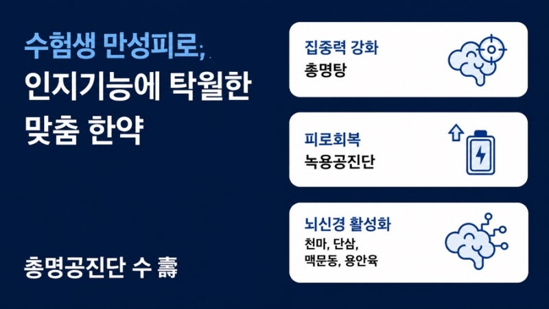 공진단 관련 이미지 2