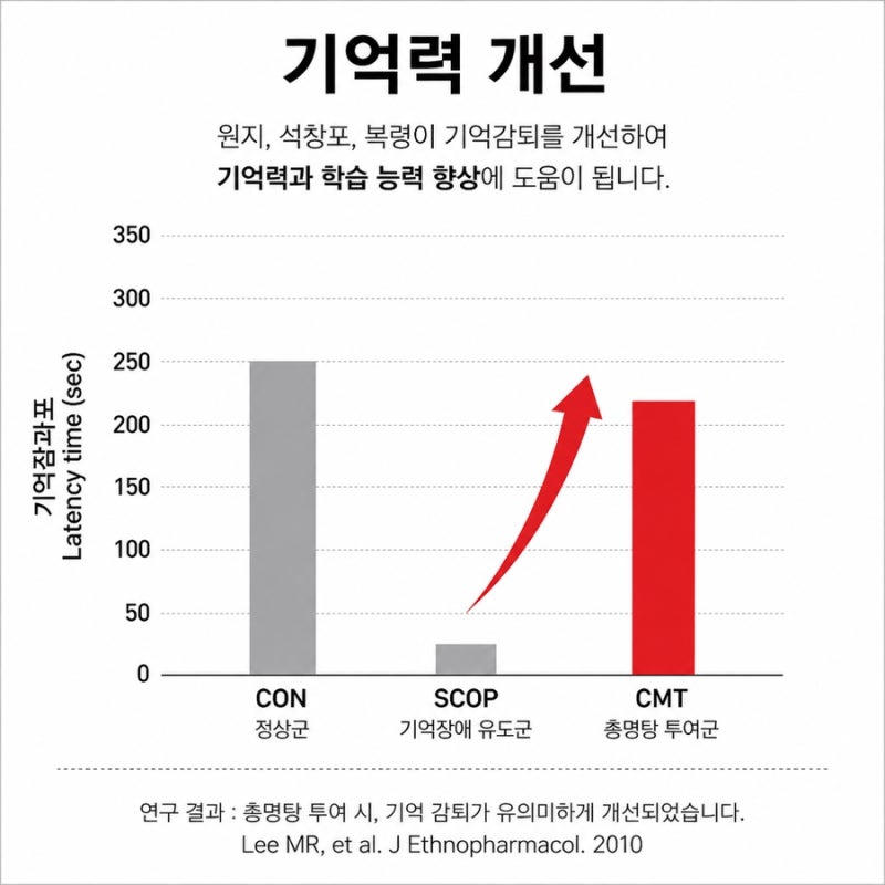 공진단 관련 이미지 4