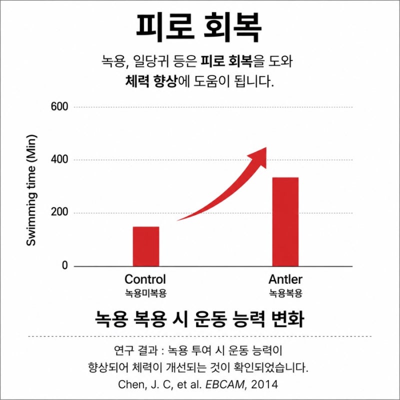 공진단 관련 이미지 5