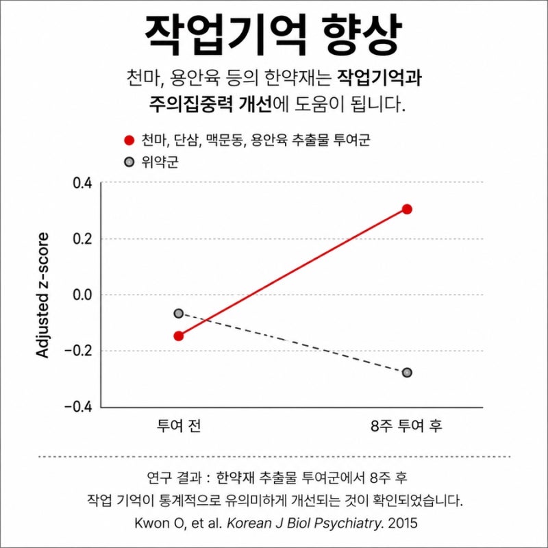 공진단 관련 이미지 6