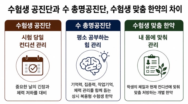 총명탕 관련 이미지 2