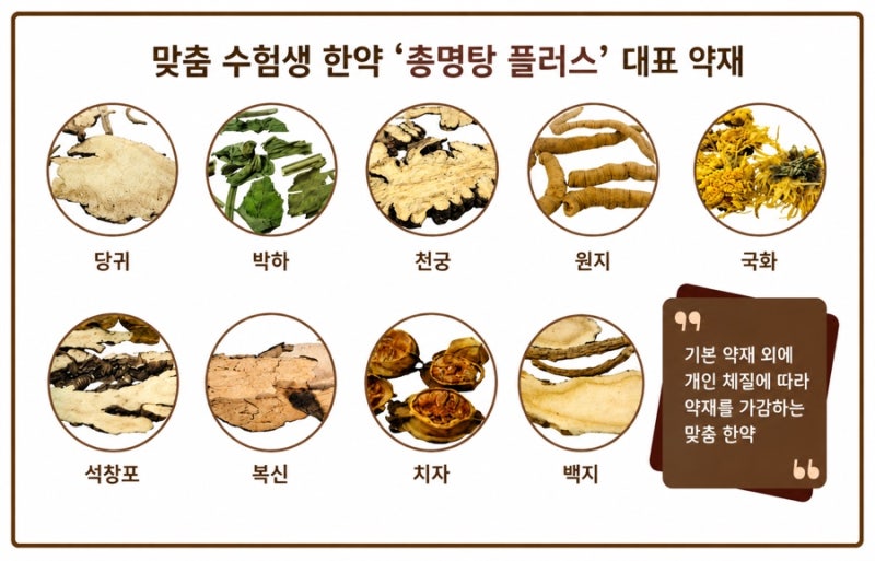 총명탕 관련 이미지 3