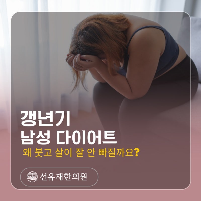 왜 자꾸 붓고 살이 안 빠질까요? 수지구 동천동 다이어트 한약으로 살펴보는 갱년기·남성 다이어트