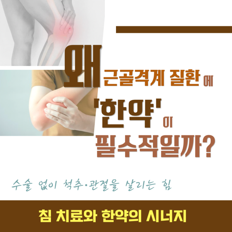 허리디스크 관련 이미지 6