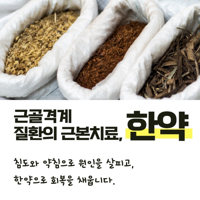 허리디스크 관련 이미지 7