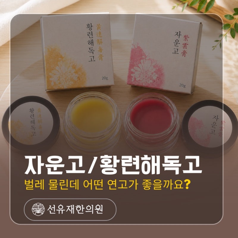 벌레 물린 데 어떤 연고가 좋을까요? 자운고와 황련해독고