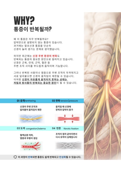 월간 선유재 7월 호 5면