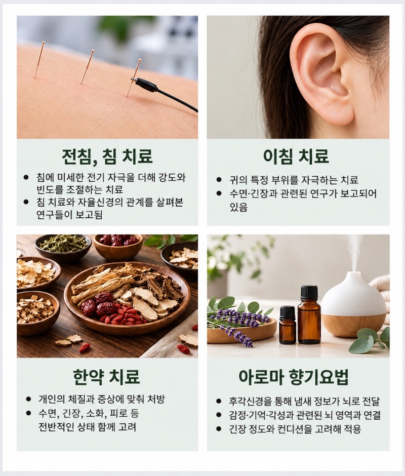 아로마 향기요법의 향이 후각을 통해 뇌로 전달되는 경로