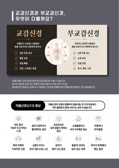 교감신경·부교감신경과 관련 증상