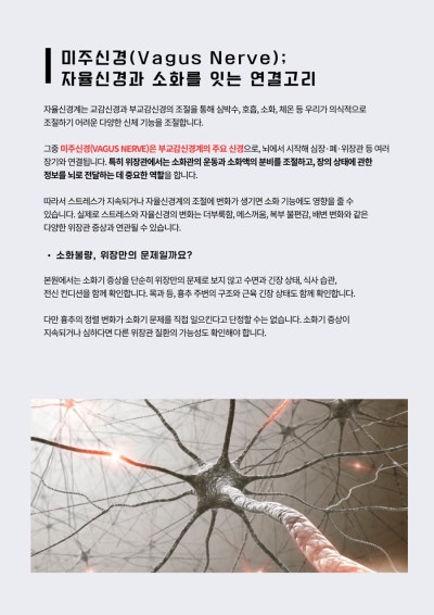 미주신경과 소화 기능